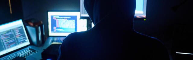 Kas Eesti e-riik on petturite ees jõuetu? Või suleb lihtsalt silmad?