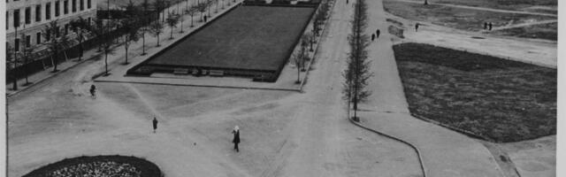 Lilleniit vs. esindusmuru