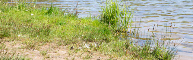 Atlandi hoovuste kollaps tooks Eestisse karmima talve, ent jätaks suvesooja
