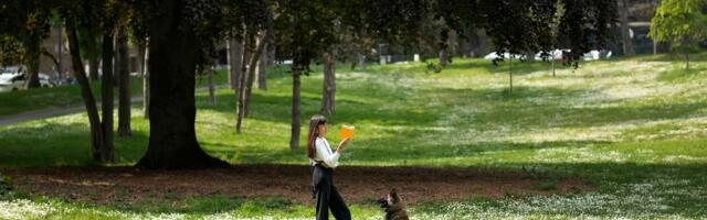 Kirjastaja soovitab: 4 uut raamatut, millest vähemalt üks on täiesti fenomenaalne