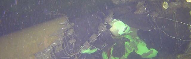 Argo Ideon: meie naabrite koostöö gaasitoru ja sidekaablite asjus on muljetavaldav