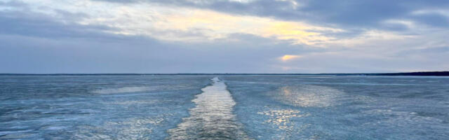 AHTO ILMAJUTUD | Kaks kanget võtavad mõõtu