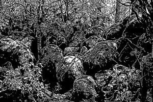 Ove Maidla näitus Tartu Kunstimajas