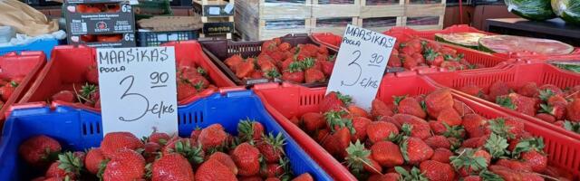 Poola maasikatest tuvastati liiga suures koguses taimekaitsevahendite jääke