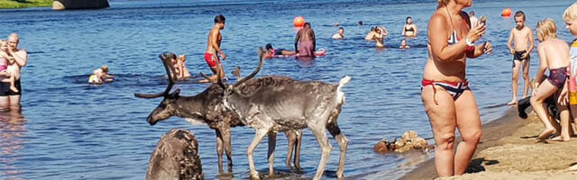 Soomes purunes senine palavate ilmade rekord