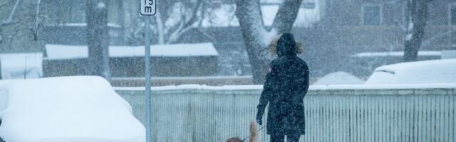 Ossinovski lubab, et lumele tehakse Tallinnas üks-null. Hankevaidlused on aga endiselt õhus