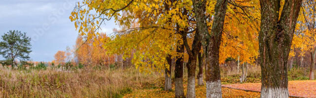 AHTO ILMAJUTUD | Tuulised päevad jätkuvad
