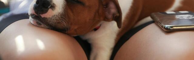 Literaat Õhtulehes: Eesti 200 peab vabanema Reformierakonna sülekorea staatusest