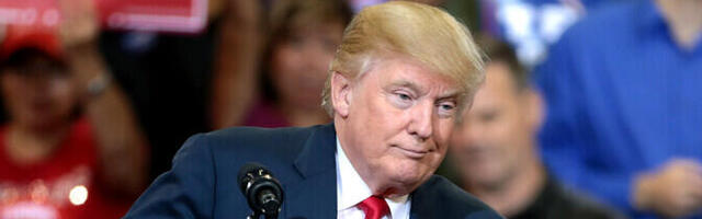 Советником Дональда Трампа по вопросам нацбезопасности должен стать Майкл Уолтц