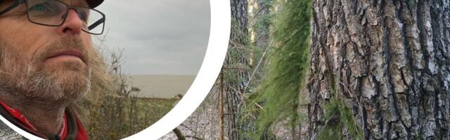 Ants Varblane: bürokraatia ajas juured elurikkusesse ja hakkas seda hävitama