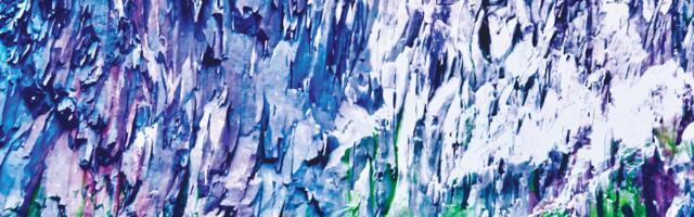 A passion for Antarctica