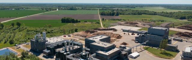 Fibenol katsetas laulupeol ligniinil põhinevaid biokotte ja sihib laiemat mõju plastitööstuses