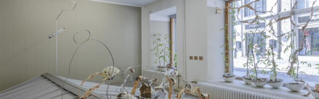 Kellele siis ei löödaks hingekella?