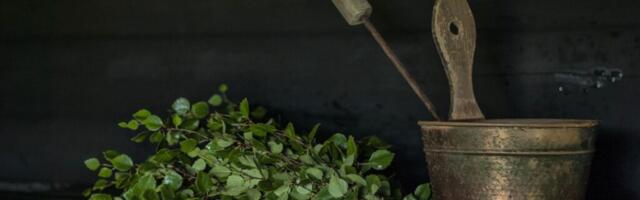 AHJUSOE SAUNAHOROSKOOP: Loe, kuidas erinevad tähemärgid sauna naudivad