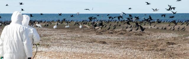 Tarmo Erlich: Eesti kalavarud olid tõsises ohus. Nüüd oleme teinud edusamme