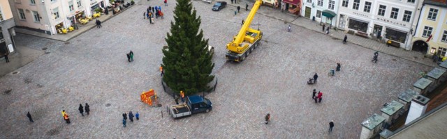 Jõulukuusk jõudis Tallinna Raekoja platsile