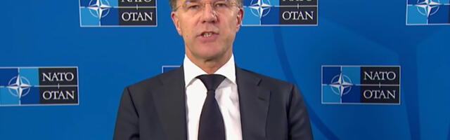 Asjatundja: Rutte juhitud NATO on ajusurnud
