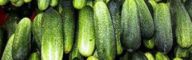 „Ma ei saa endale isegi kurki lubada.“ Venelased kurdavad ülikõrgete toiduhindade üle