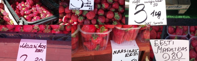 Uskumatu populaarsus: ühele maasikakorjaja ametikohale kandideerib üle 100 inimese