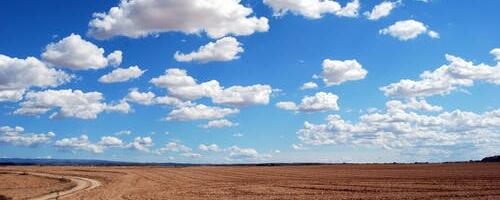 Riigilt saab maad rendile võtta