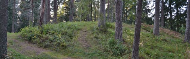 Padise elanikud koonduvad kohalike metsade kaitseks vajadusel ka inimketiks