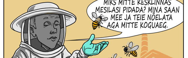 Nädal pildis