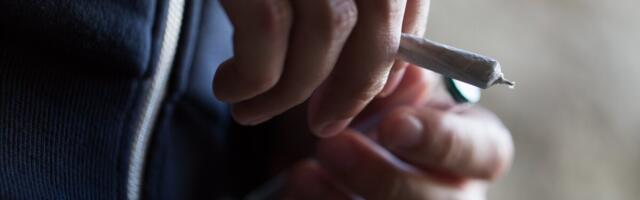 TAI teatel kasvas kanepi tarvitamise jääkide kogus pealinna reovees hüppeliselt