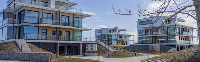 Alveri preemia saab uusarendus ja vanalinna eramu