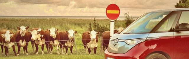 PROOVISÕIT | VW ID. Buzz GTX_ pilkupüüdev ja armutult otse ütlev kväär