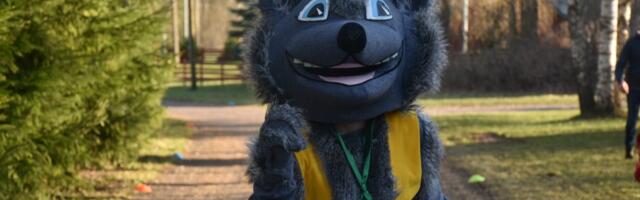 Järva vald esitab tänasest elanikele taas hundisammude väljakutse