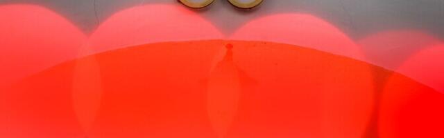 ROK näitas Indoneesiale punast kaarti