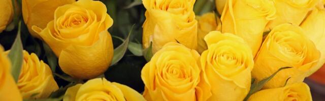 Mis värvi on naistepäev?