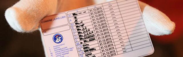 AUTOKOOLIDE LAHING ⟩ Kes pakub soodsamalt juhilube?