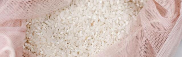 Muuga piiripunktis avastatud 23 tonni saastunud riisi hävitati