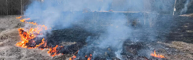 Viljandi vallas põles kulu