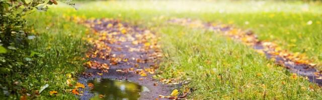 Virilõuad, võtke teadmiseks: Eesti suvi on parim!