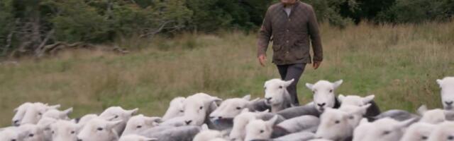 Sisyphose naer läbi pisarate