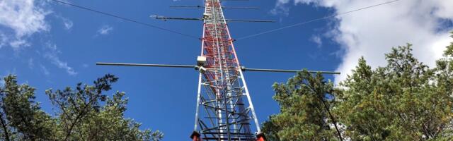 METSATEADUS | Üha soojenevatel ilmadel on metsade kasvule ootamatu mõju