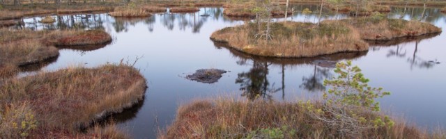 Eesti Energia laseb Selisoo kuivenduskraavid kinni ajada