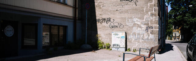 Sisekontroll: Tallinna pinkide hange oli suunatud konkreetsetele toodetele