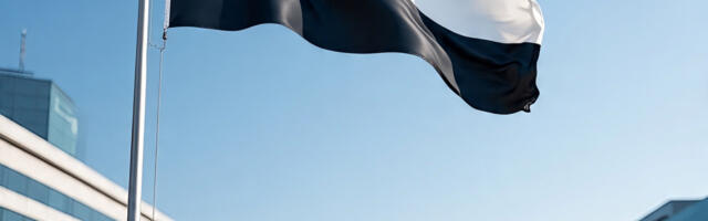 PILTUUDIS: tehisaru pilt Eestist