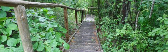 Kohalolu hetk peredele 3.-5. märts 2023