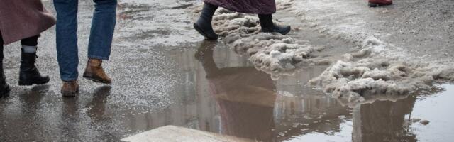 ILMATEADE | Suur sula: lumikate hakkab kõikjal Eestis vähenema