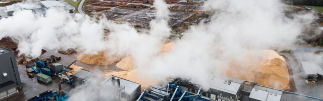 Pelletikuninga äri kuumab: kuidas Eesti mets põleb Lääne ahjus