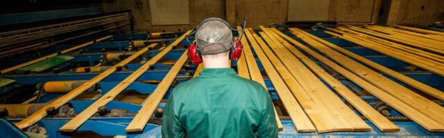 USA püüd vähendada saematerjali eksporti tekitab Rootsi puidusektoris muret