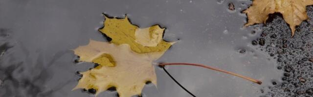 ILMAPROGNOOS | Viimased suvisemad päevad, siis algab külma õhu sissetung