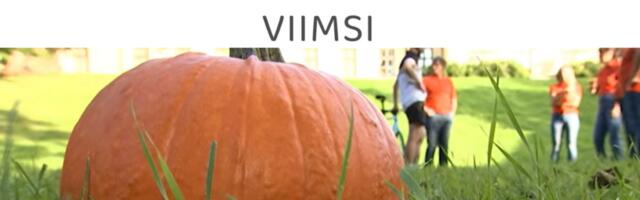 Valimisliidu Kogukondade Viimsi ettepanekud Viimsi valla arengukavasse aastateks 2027 – 2031