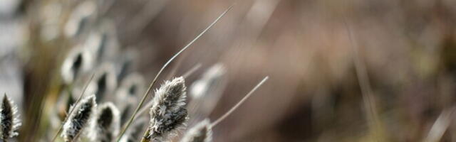 Esmaspäeval on sooja kuni 9 kraadi