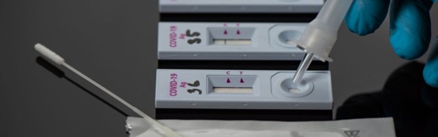 Valitsus toetas piiriületusel antigeeni kiirtestide kasutamist