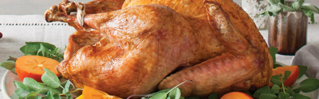 Jüri Toomepuu: ameeriklaste tänupüha 46 miljoni kalkuniga